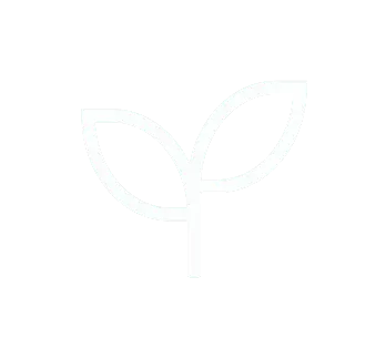an icon to match the program name